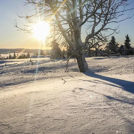 3 Bedroom Lovely In Sjusjoen